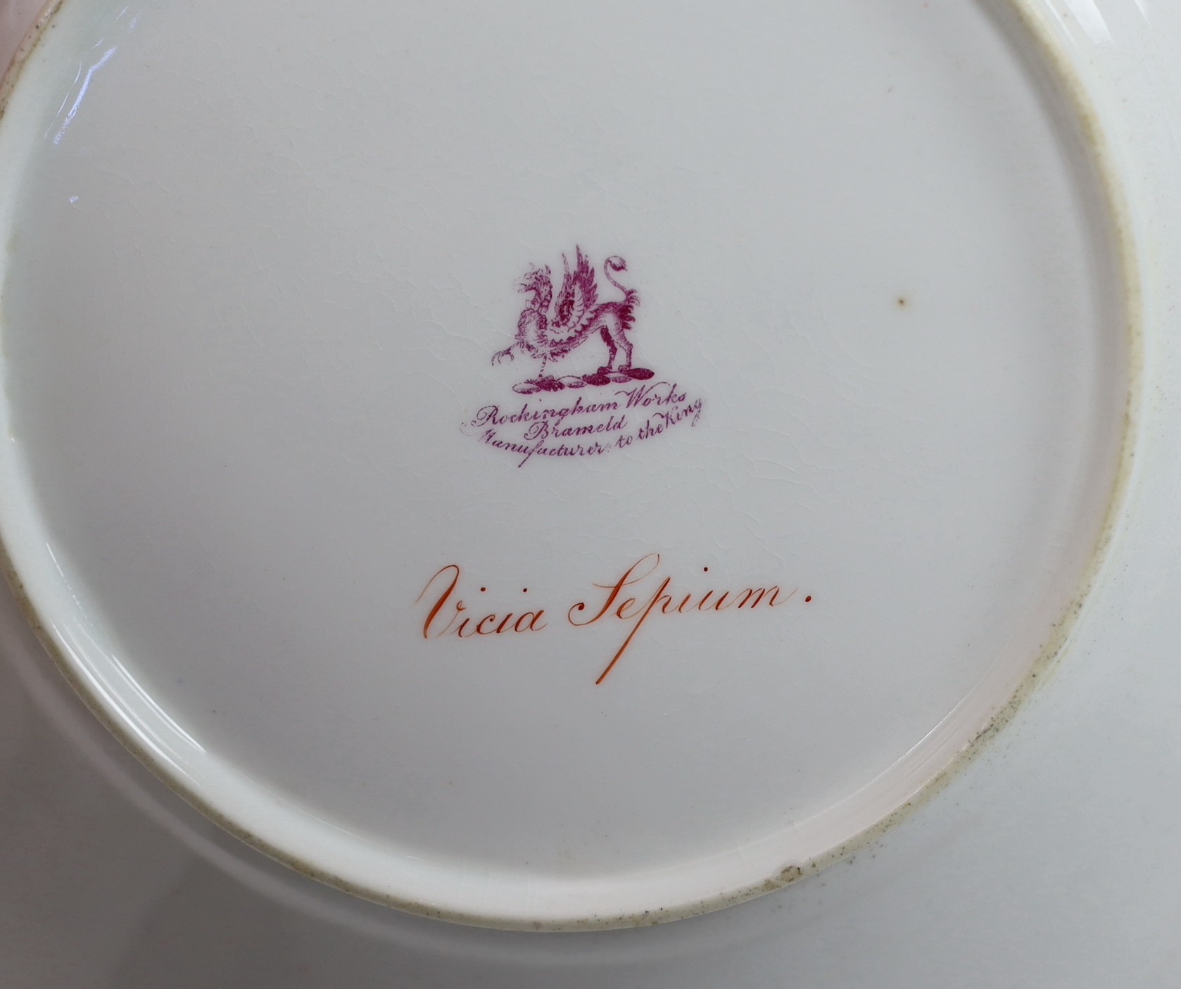 A rare Rockingham botanical specimen part breakfast service, griffin statant mark, c.1826, with some matching pieces, c.1830-5